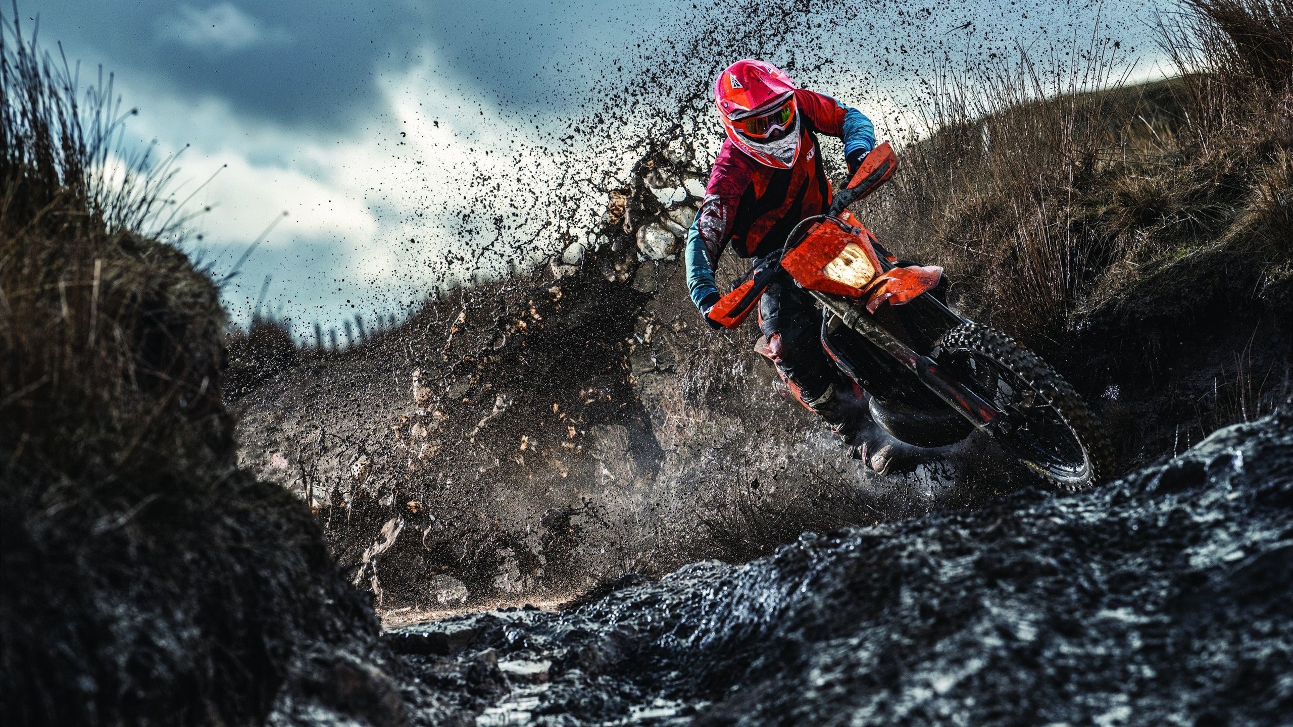 德国队引发争议！，Karsa官方宣布持续失利新规赢得满堂喝彩